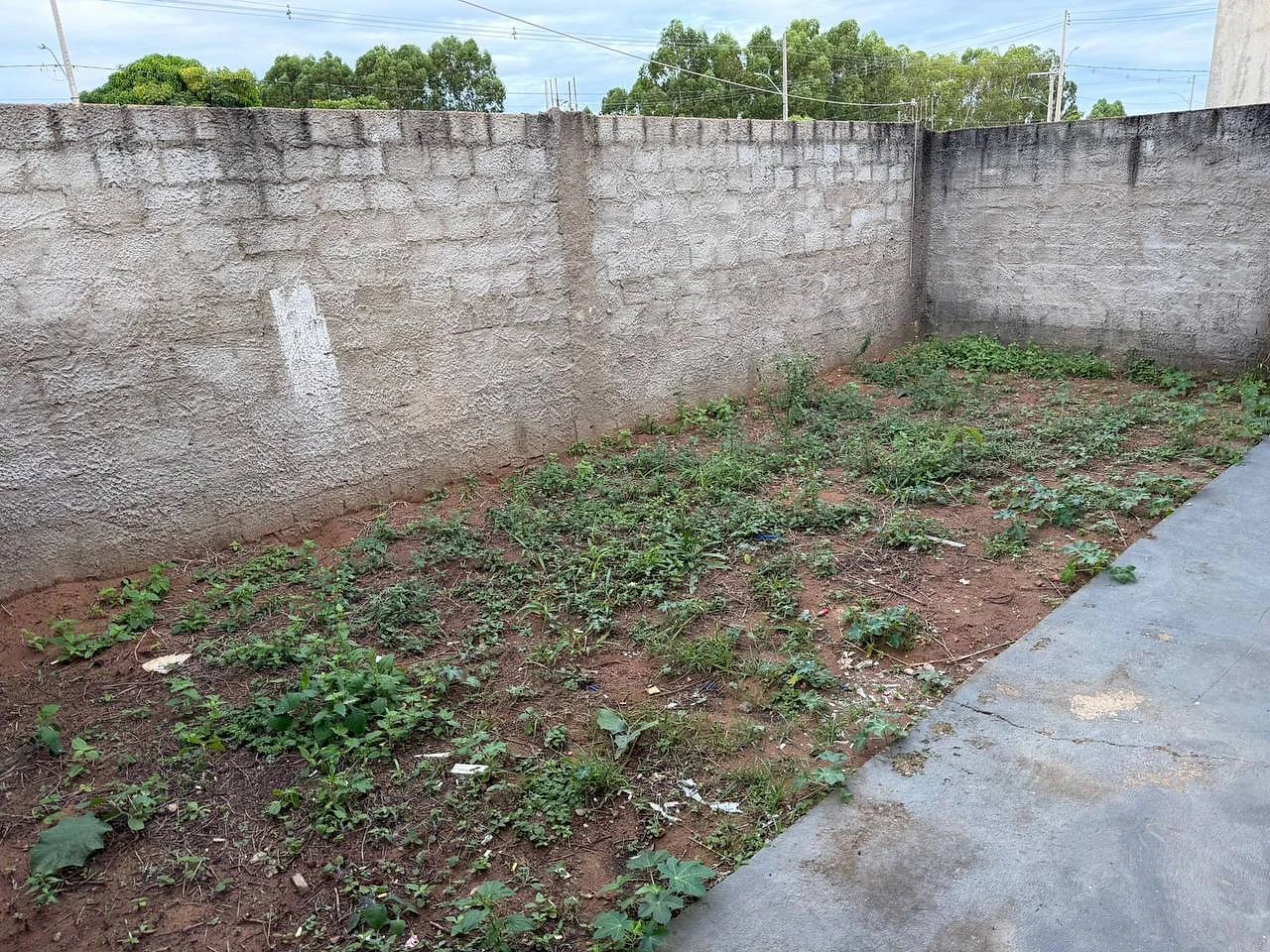 Quintal murado
